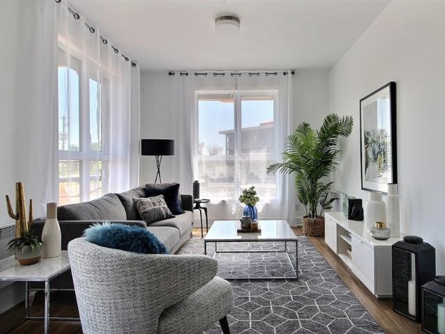 Rive Gauche Appartements Services
