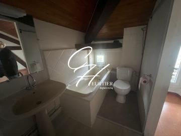 RIVES APPARTEMENT T2 SOUS TOIT