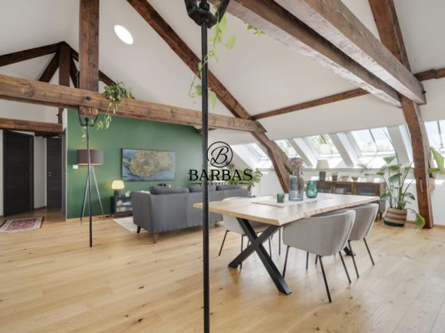 Rives de Meurthe Magnifique Loft 139,64 m2 3 Chambres ave