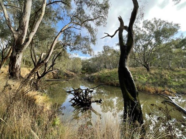 River Frontage