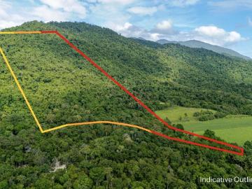 River, Rainforest & Remarkable Potential