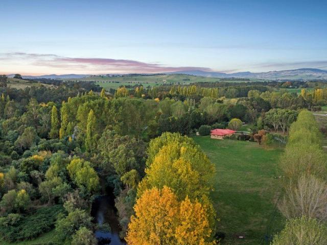 'RIVER STAR' 300 METRES OF RIVER FRONTAGE: 10 ACRES OF DELATITE VALLEY LIVING