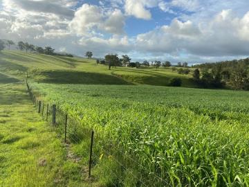 RIVERS RUN 300 ACRES WITH MACLEAY RIVER FRONTAGE