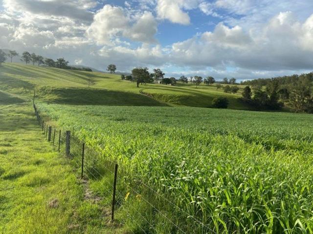 RIVERS RUN 300 ACRES WITH MACLEAY RIVER FRONTAGE