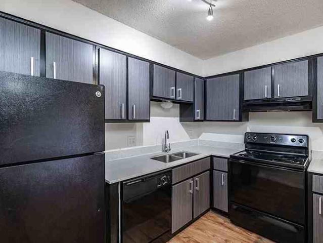 Riverside Palms 2 Bedroom Apartment for Rent at 5008 Sierra Pl, Tampa, FL 33617 Temple Crest