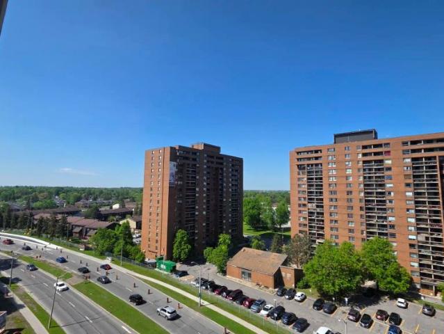 Riviera Suites — 1 Bedroom