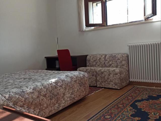 Roma Roma 104955884