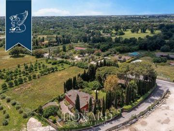 Roma Roma 103218946