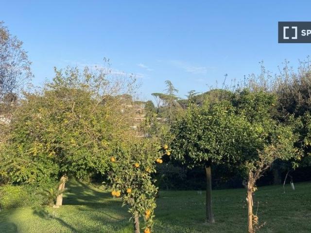 rome, Lazio 00166