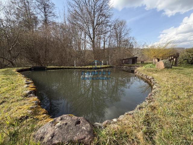 Ronchamp 70250: charmante maison avec plan d'eau 85m² Ronchamp