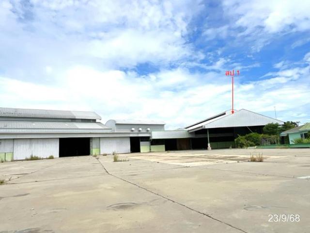 โรงสี 98916 ตร.วา หันคา ชัยนาท 376.9M