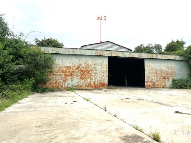โรงสี 3704.2 ตร.วา สรรคบุรี ชัยนาท 10.8M