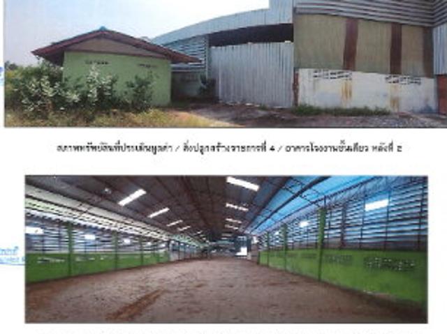 โรงงาน ถนนมาลัยแมน ทล 321 8 ไร่ พื้นที่ใช้สอย: 4394.5 ตร.ม