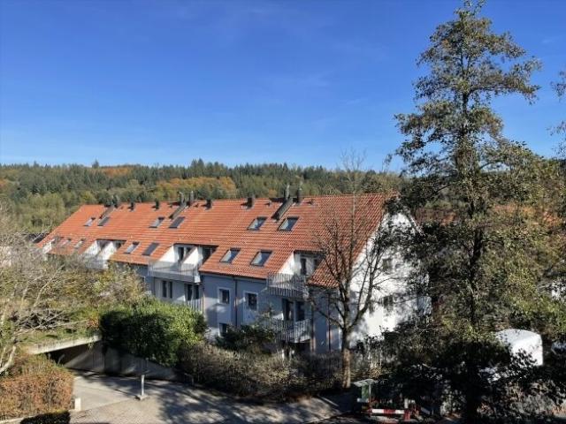 Roof dream with sloping ceilings 1000. CHF starting bonus for furnishing