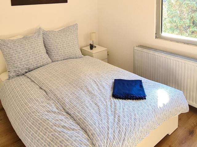 Roof top apartment in central location of Mainz incl parking