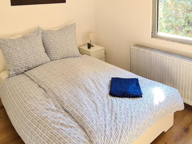 Roof top apartment in central location of Mainz incl parking, Mainz Amsterdam Apartments for Rent