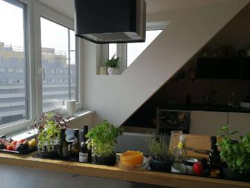 Wohnung mieten in Sechshaus - Heizung