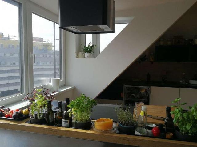 Rooftop Maisonette with Terrace, Roof garden 145m2 fully furnished, Vienna Amsterdam Apartments for Rent