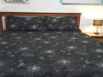 Shark Point, Clarence, Tasmania, Penguin Island, Cloudy Bay, Kingborough, Tasmania Island