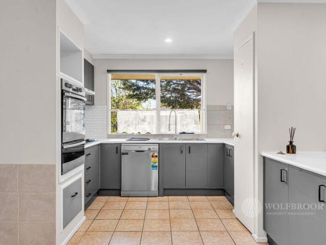Room for Everyone & Weekends Worth Staying Home For!