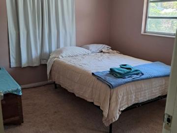 34210, Manatee County, Florida, USA - Garden