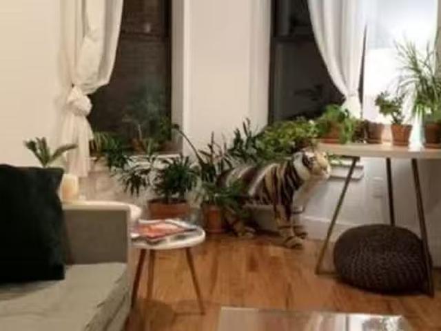 Room for rent in Crown Heights