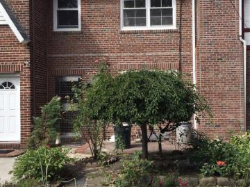 Queens, New York city New York, New York city, New York, USA