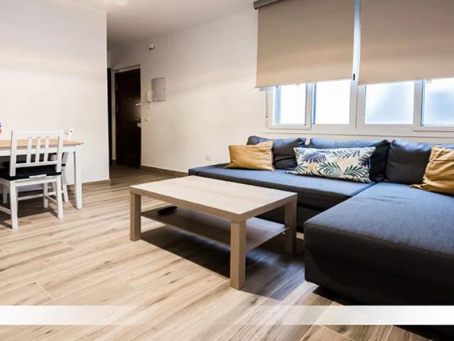 Room for rent in 3 bedroom apartment in Seville