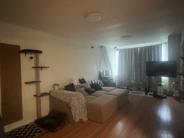 Cedar Manor, New York city New York, New York city, New York, USA