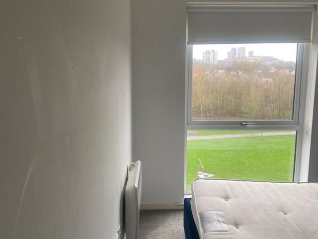 Room in a Shared Flat, Clarence St, M7