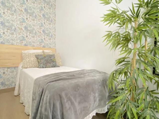 Room in a shared 11 bedroom apartment for rent in La Juncal Híspalis