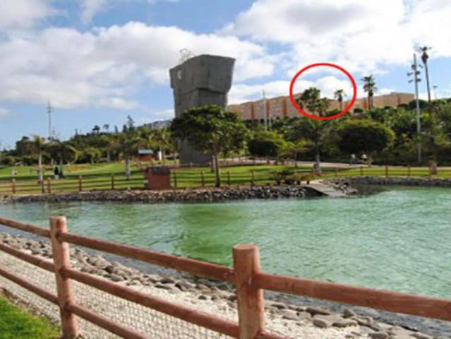 Room in a shared 1 bedroom apartment for rent in San Lázaro, bills included