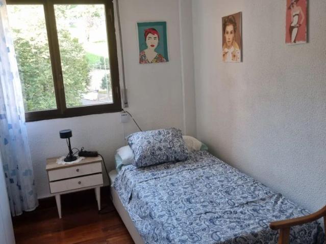Room in a shared 2 bedroom apartment for rent in Uribarri, Bilbao
