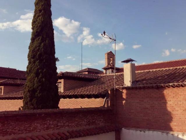 Room in a shared 3 bedroom apartment for rent in Alcalá de Henares, perfect for students