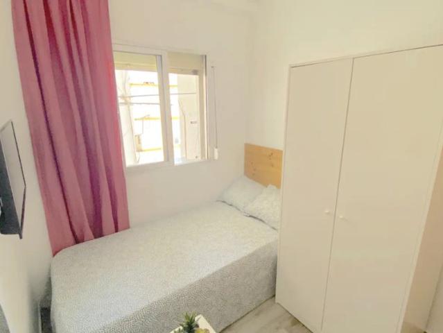 Room in a shared 4 bedroom apartment for rent in La Palmilla