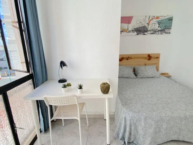 Room in a shared 4 bedroom apartment for rent in La Palmilla, professional tenants only