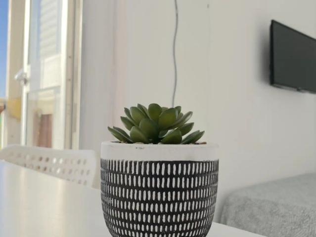 Room in a shared 4 bedroom apartment for rent in Villegas
