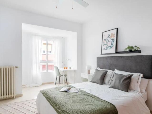 Room in a shared 5 bedroom apartment for professionals and students for rent in Alicante