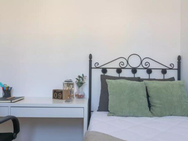 Room in a shared 5 bedroom apartment for rent in Campamento for professionals and students