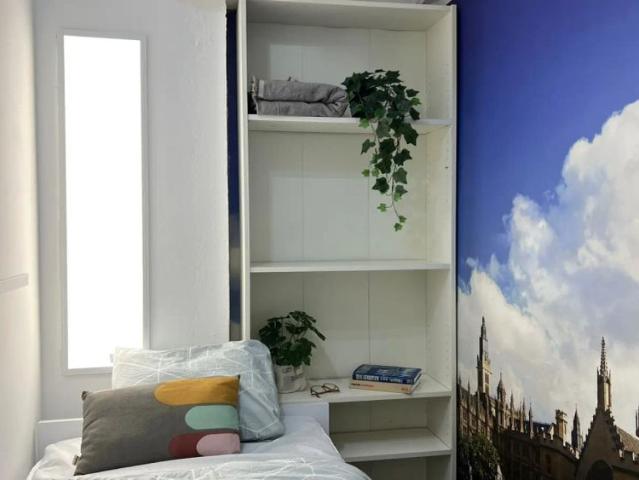 Room in a shared 7 bedroom apartment for rent in Quintana