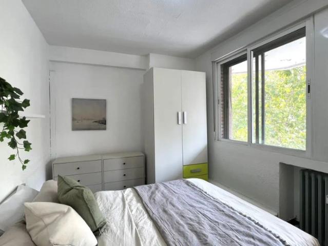 Room in a shared 7 bedroom apartment for rent in Quintana