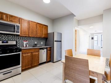 Flatbush, New York city, New York, USA