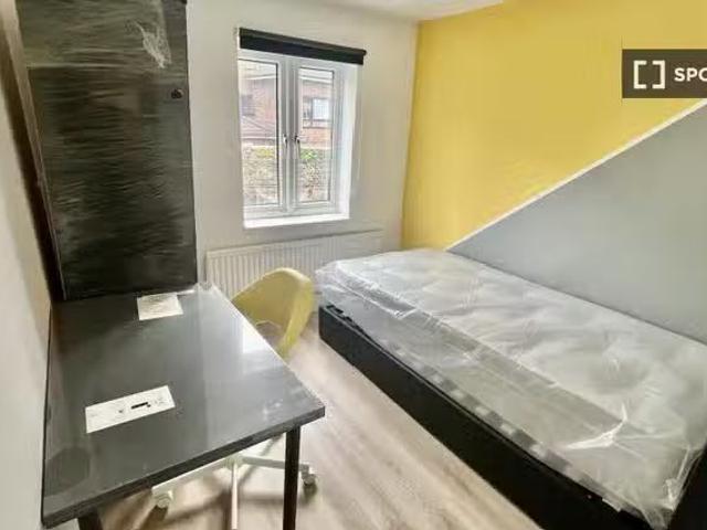 Room in shared apartment in London
