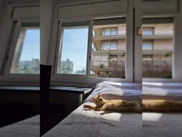 Room in shared apartment in L'Hospitalet de Llobregat