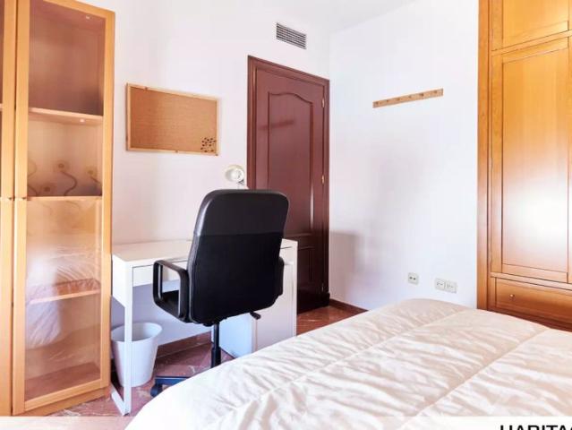 Room in 4 bedroom apartment in Seville