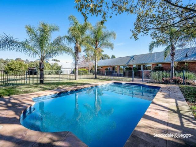 Room to Move Quality Home with Shedding in Arcadia Downs Estate