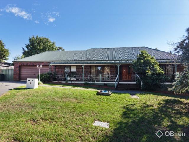 Room to Grow, Space to Entertain A Rare Find in Paynesville