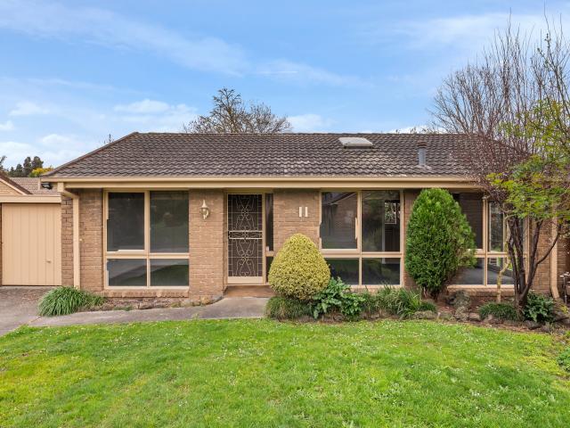 Room to Run! Available Now – Surreal Property Group