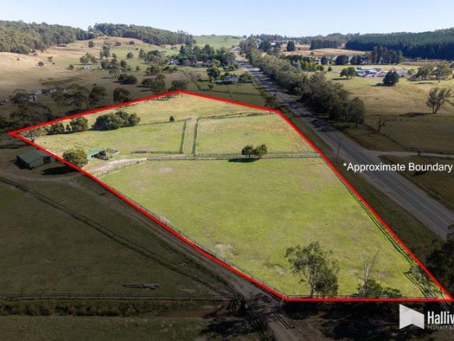 Room to Roam, Space to Create Your Ideal Acreage Awaits