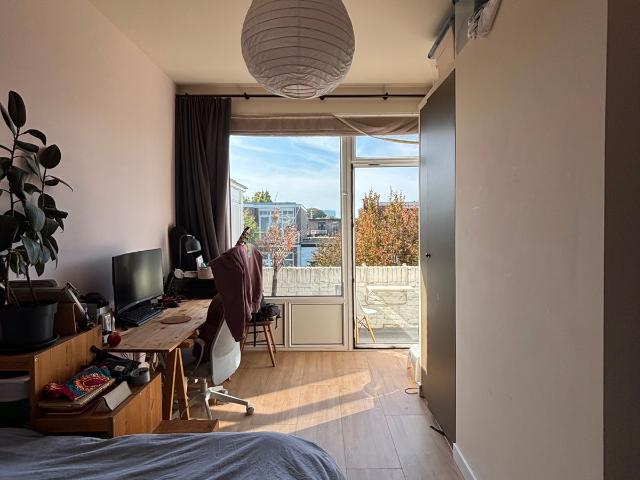 Roommate Wanted – Spacious Apartment in Old Rijswik